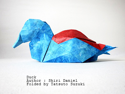 origami Duck, Author : Shiri Daniel, Folded by Tatsuto Suzuki